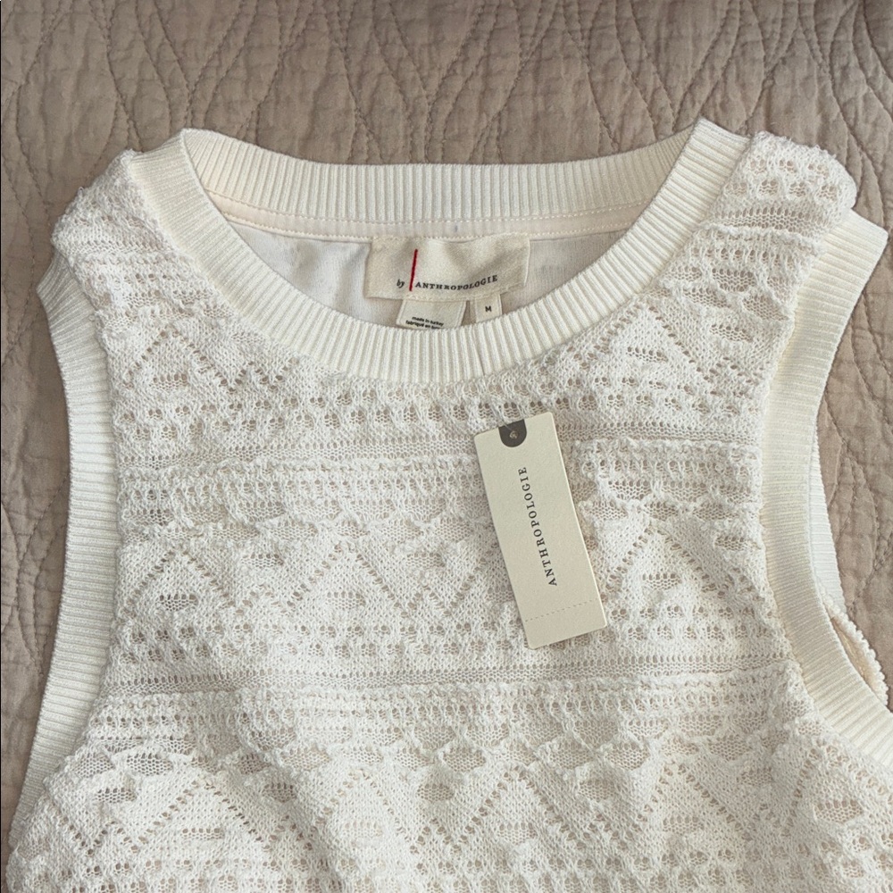 Anthropologie ivory Lace Mini Dress - Picture 10 of 11
